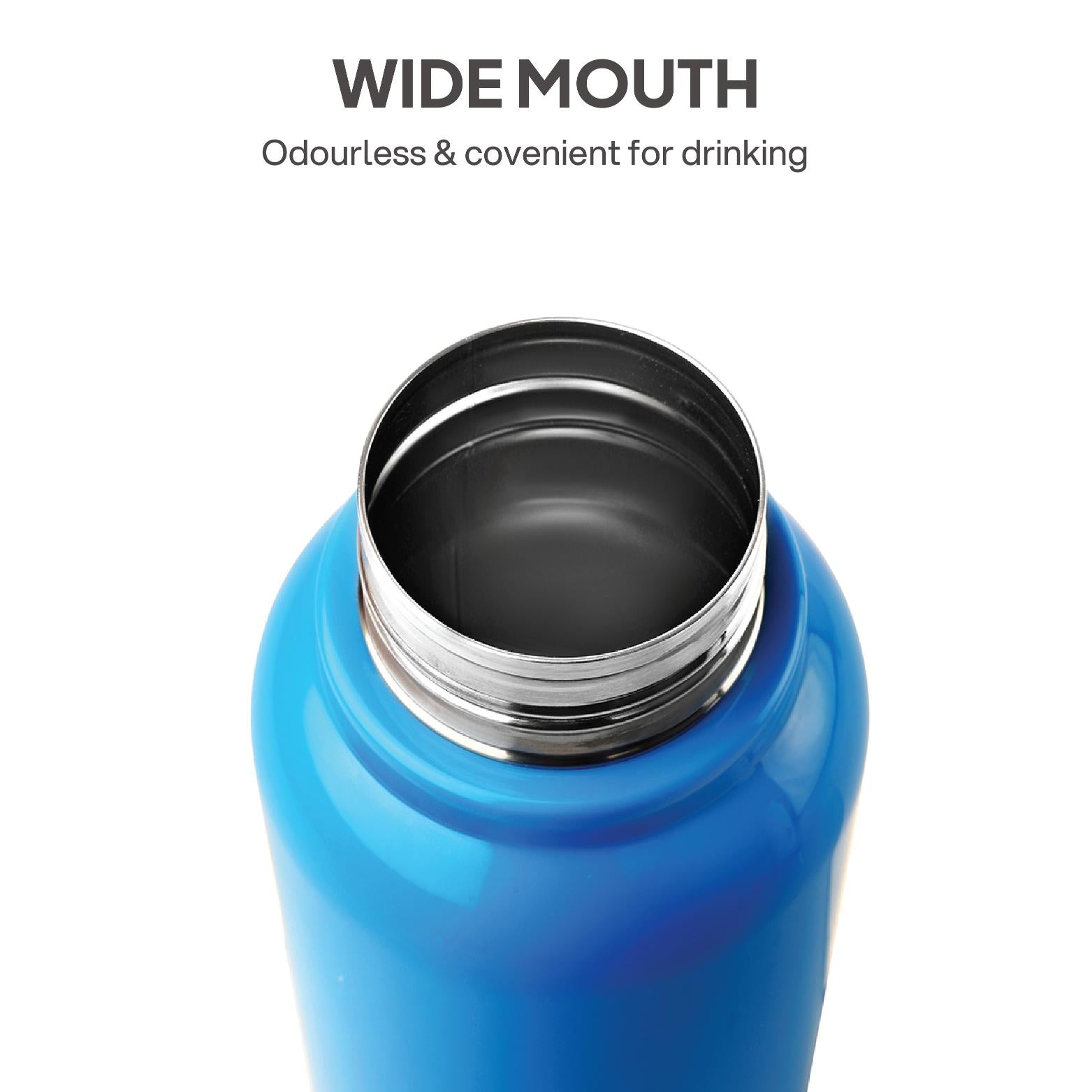 Puro Steel X Benz 600 Insulated bottle, 620 ml Blue / 620 ml