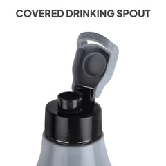 Puro Steel X Felix 900 Insulated Bottle, 680 ml Grey / 680 ml