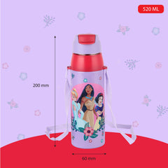 Era 3D Design Insulated Kids Water Bottle, 520ml Dream Weavers