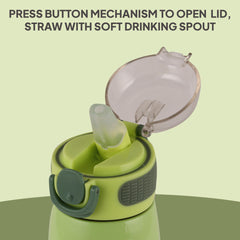 Flare Kids Flask, 450 ml Lion King