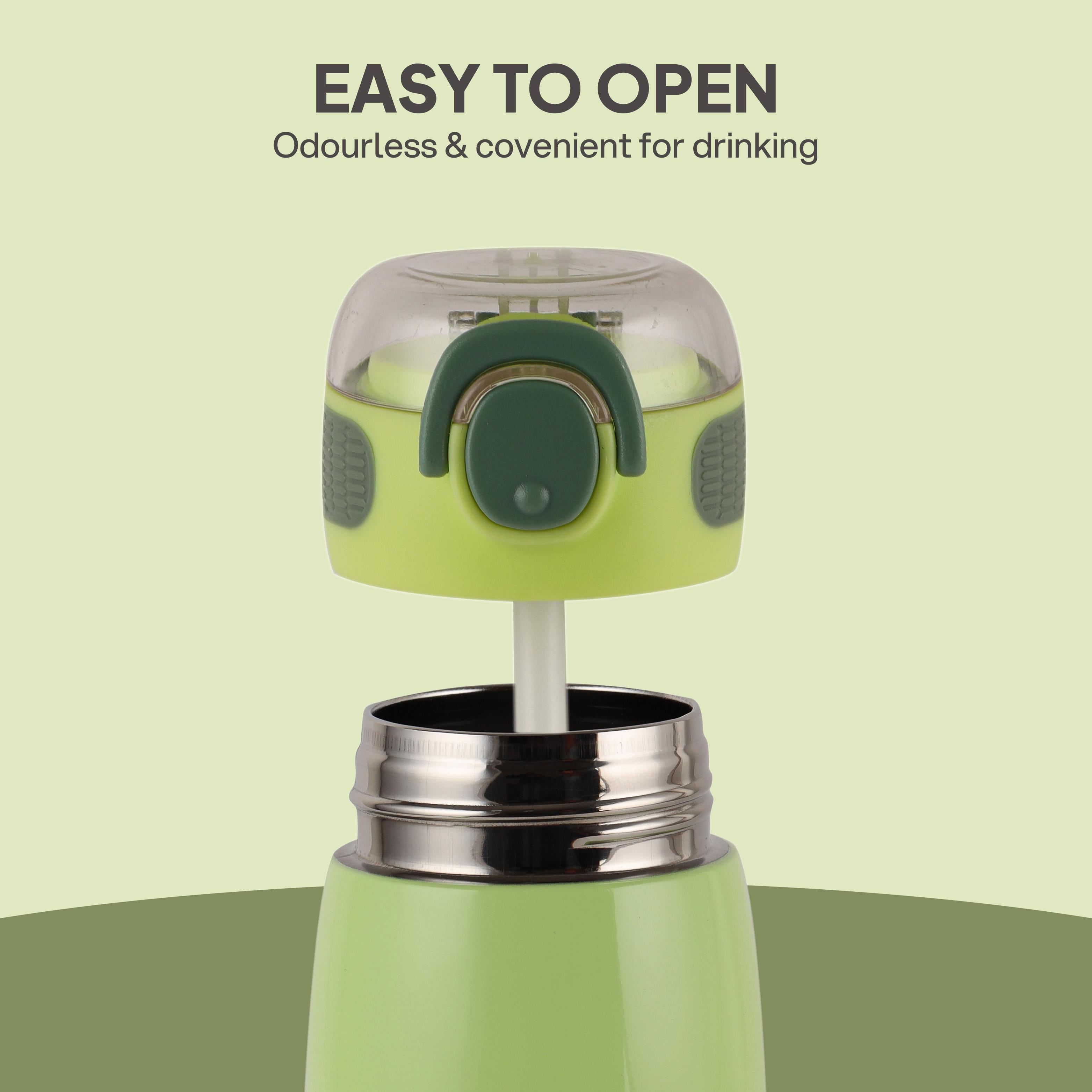 Flare Kids Flask, 450 ml Lion King