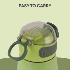 Flare Kids Flask, 450 ml Lion King