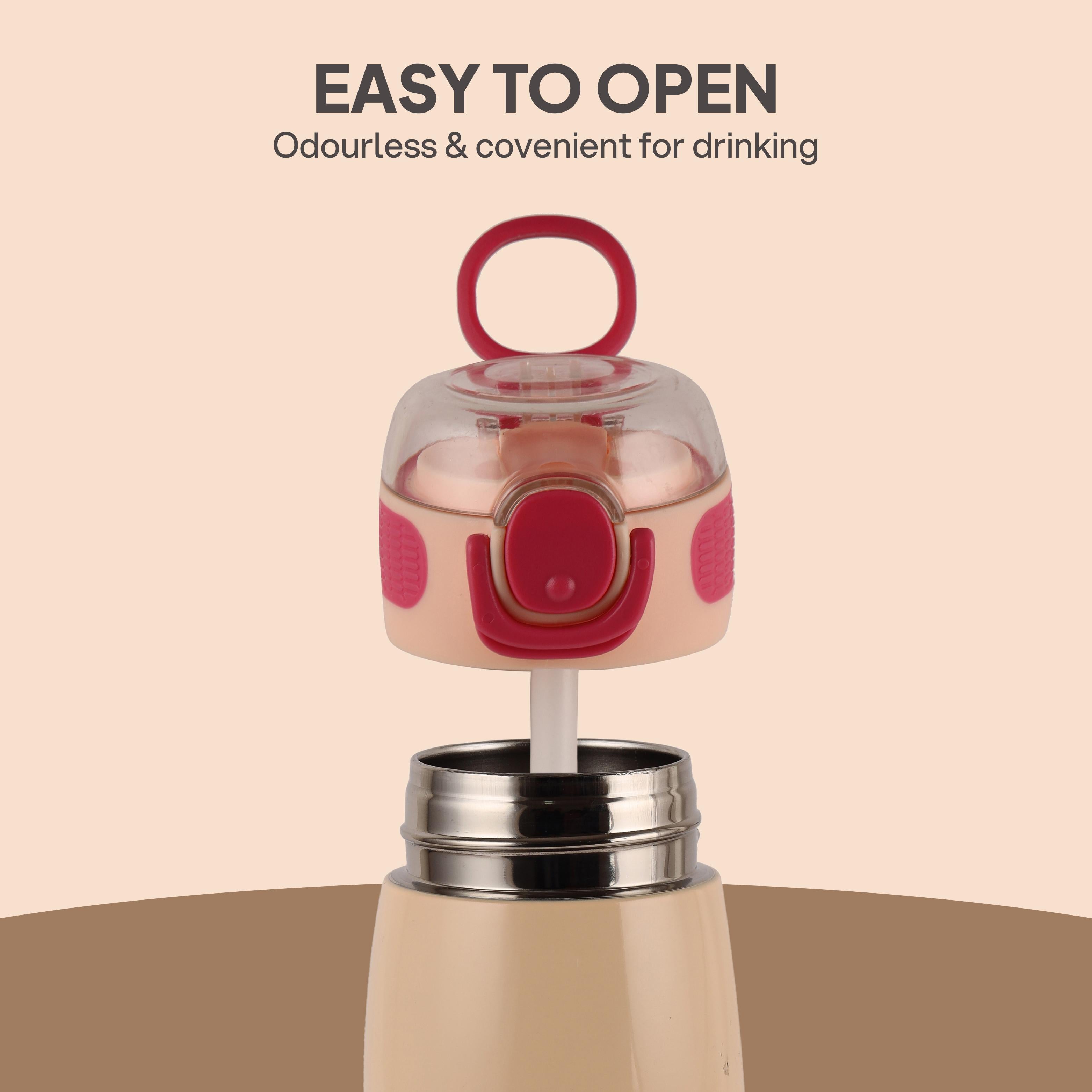 Flare Kids Flask, 450 ml Winnie Family