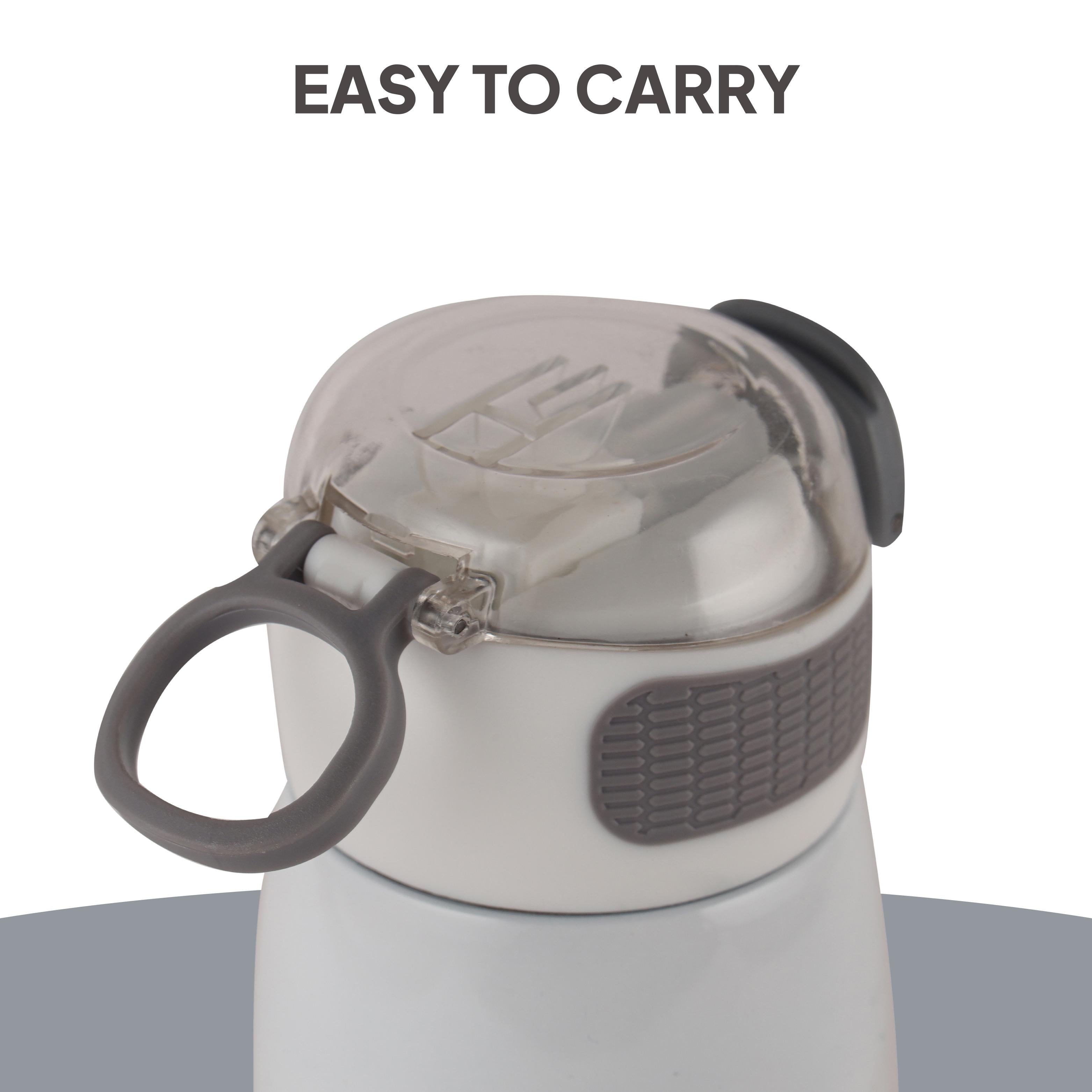 Flare Kids Flask, 450 ml Dalmatians