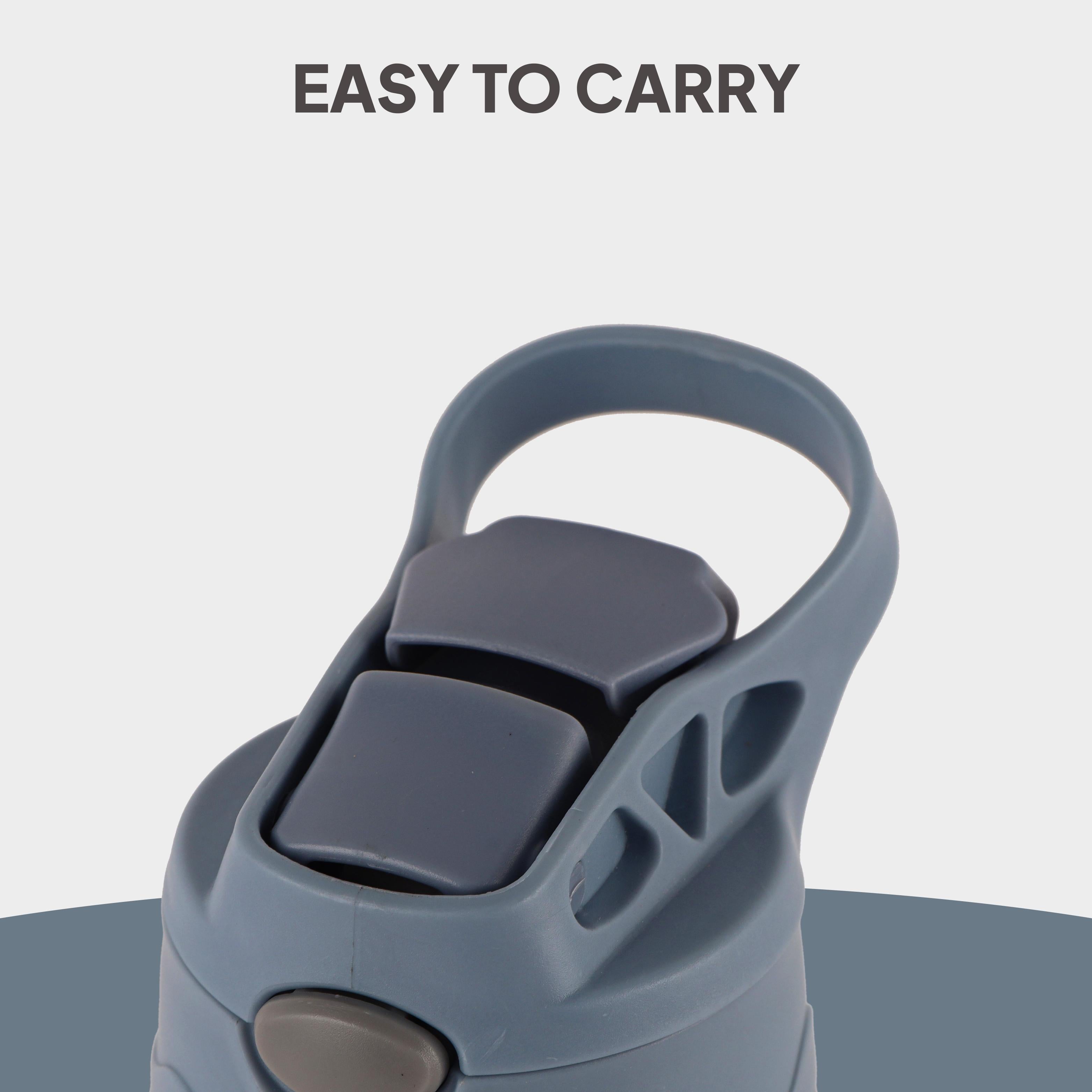 Pixel 400 Kids Flask, Classic Animals