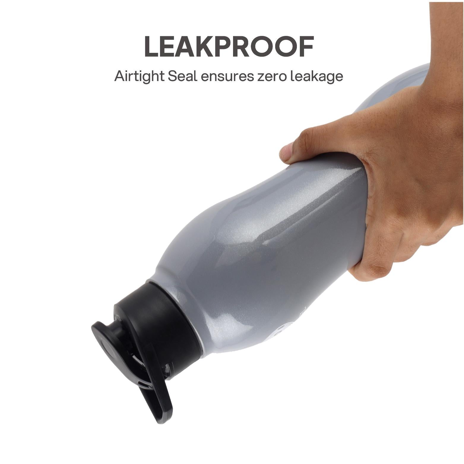 Zigma Exe Single Walled Stainless Steel Flask, 1000ml Grey / 1000 ml