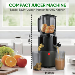 Slow Juice 300 Watts Cold Press Professional Juicer
