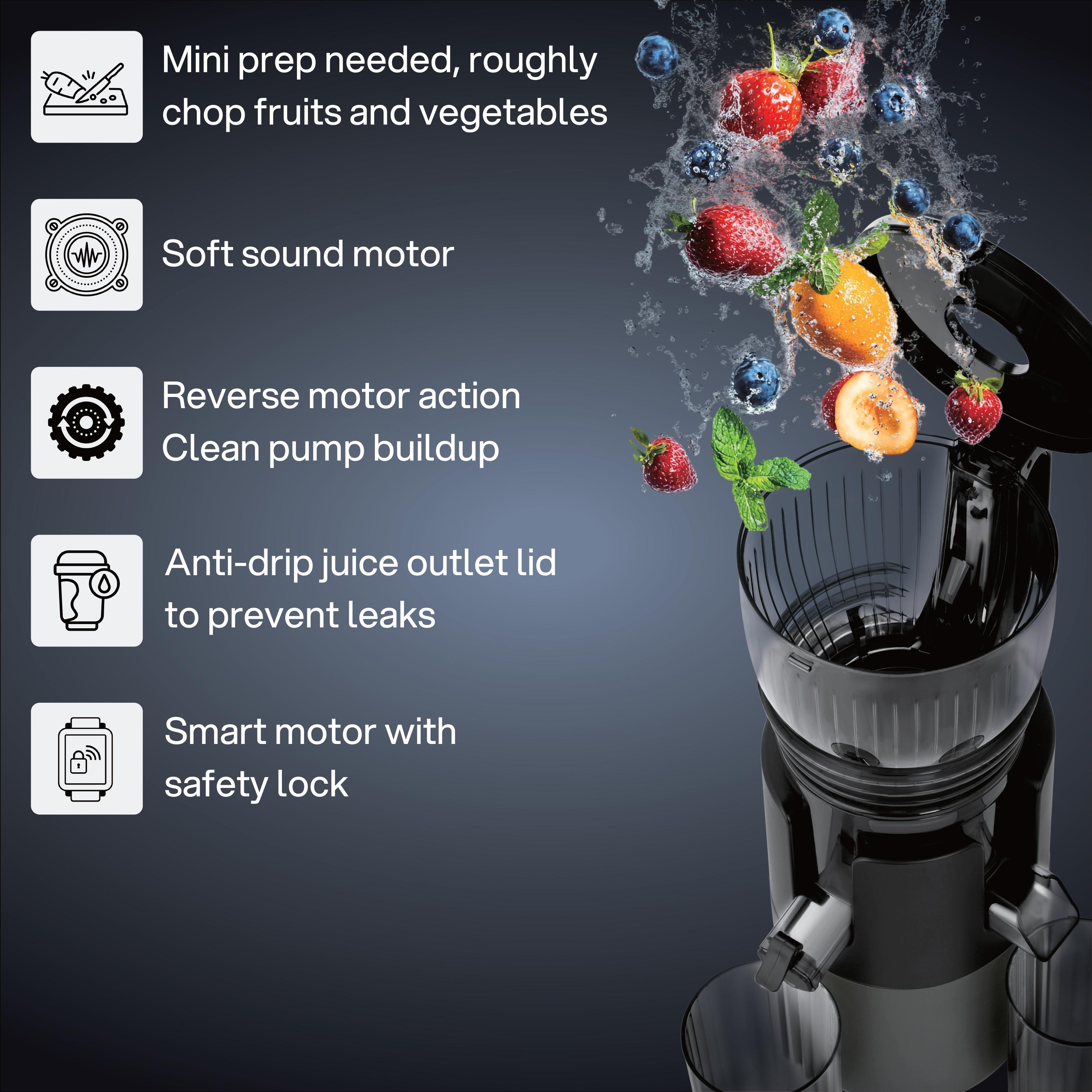 Slow Juice 300 Watts Cold Press Professional Juicer